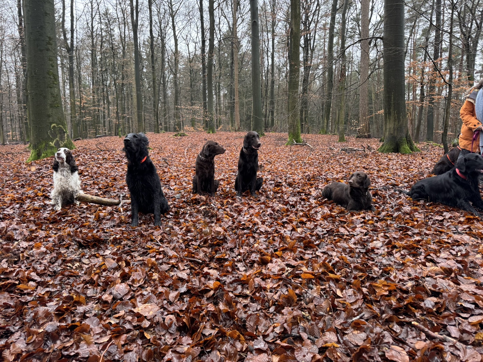 Events & Veranstaltungen