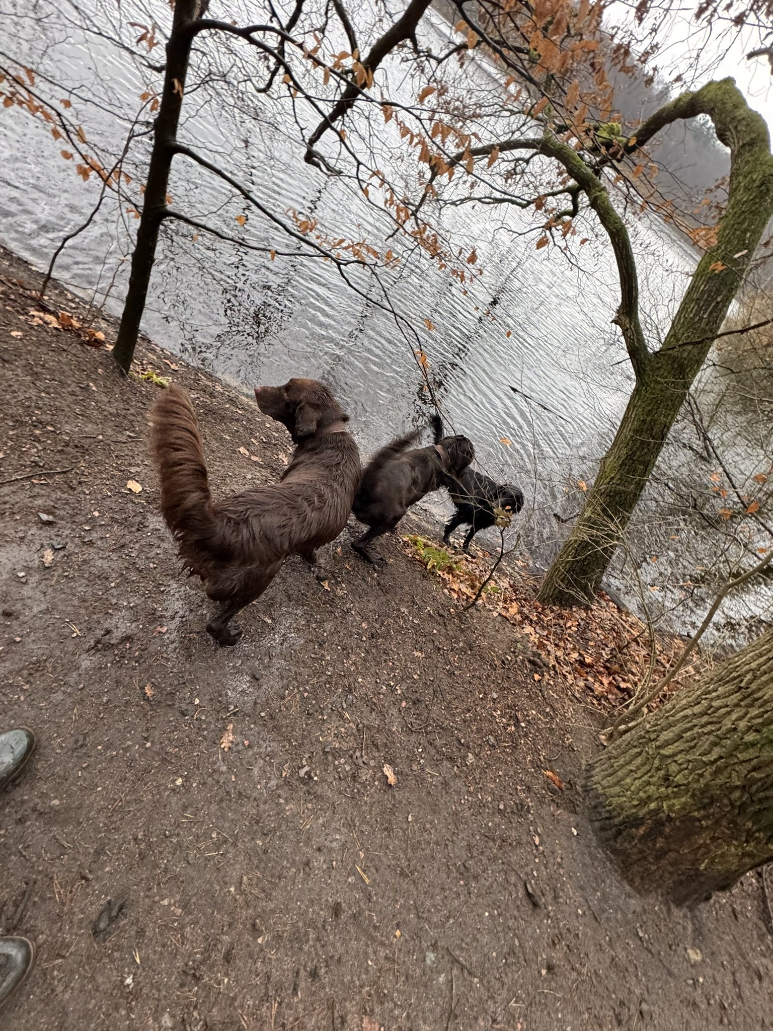 Events & Veranstaltungen