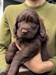 Arvid (Herr Grün) - Bild 2