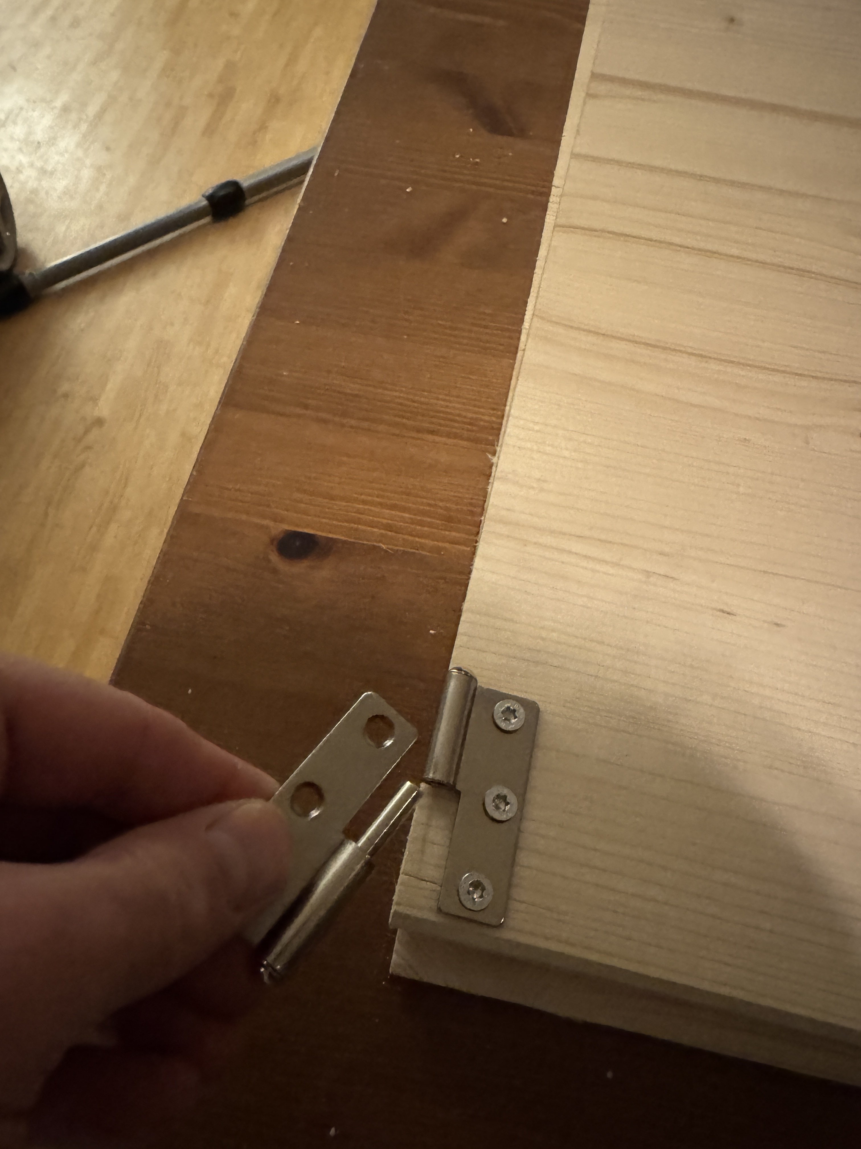 Wurfkiste und Auslauf - 08f6baec122b.jpg