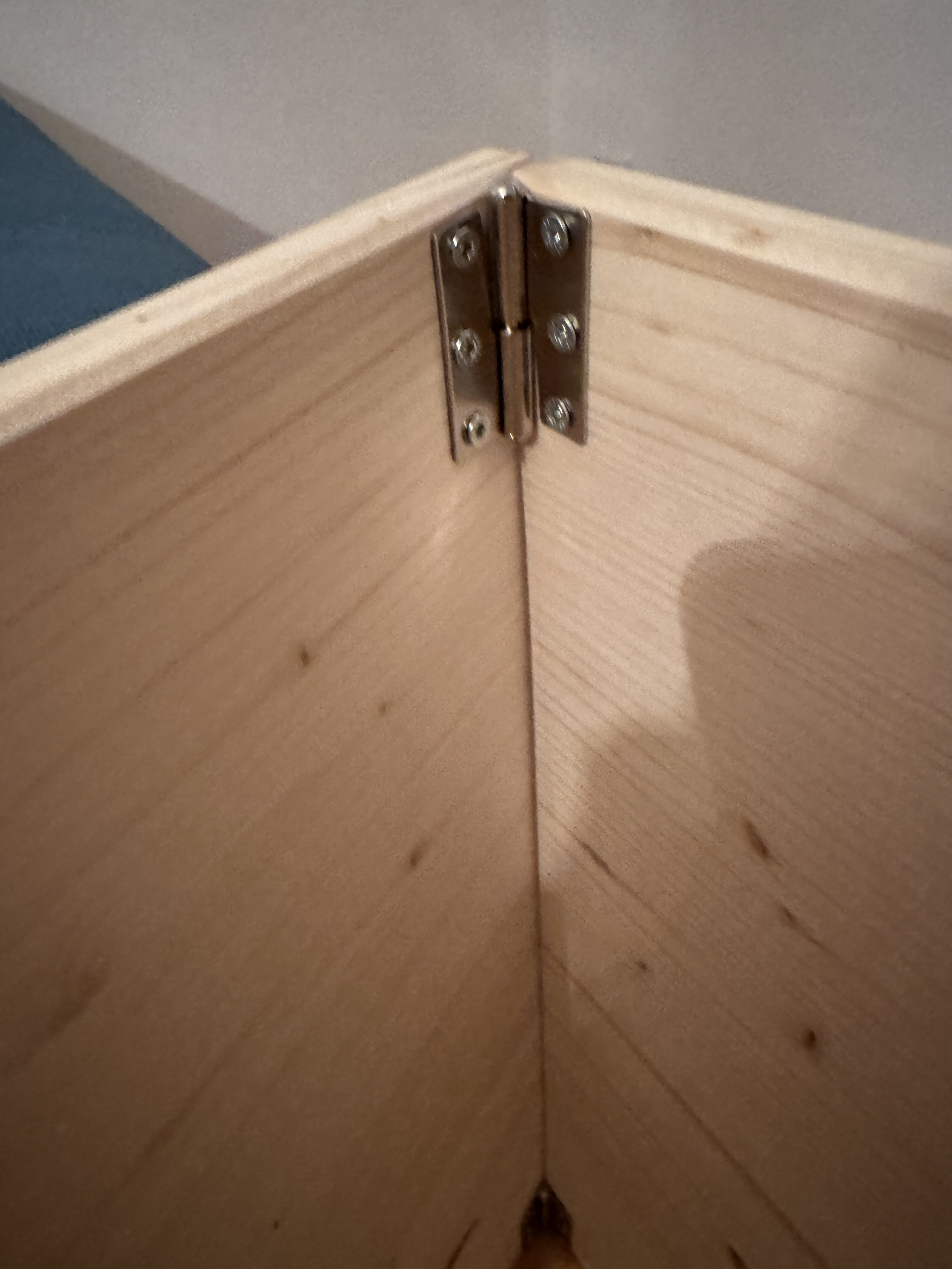 Wurfkiste und Auslauf - 5960ed28b1ff.jpg